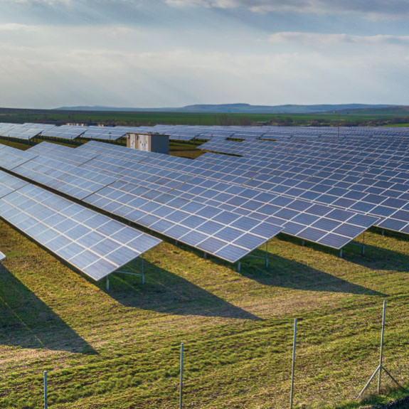 sustainability